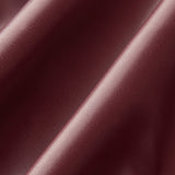 Sleeveless Draped Faux Leather Top with High Neck